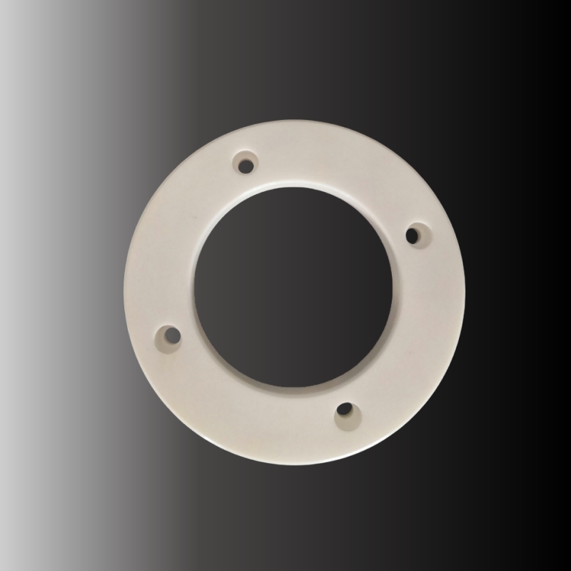 Alumina Ceramic Seal plate